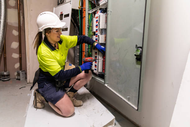 Best Electric Panel Repair  in South Roxana, IL